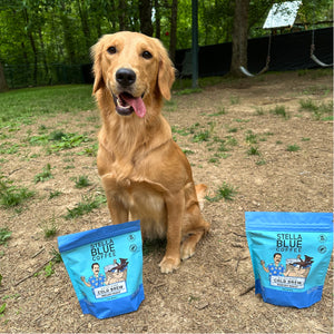 A Golden retriever with two bags of cold brew