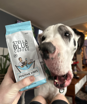 A dog trying to drool all over a bag of positive vibes coffee by Stella Blue