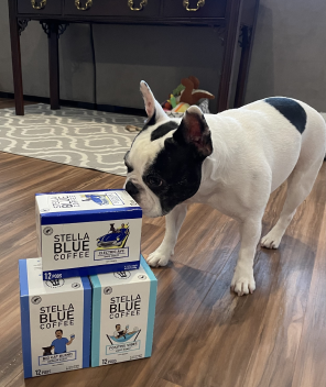 A small dog smelling a box of Stella Blue coffee