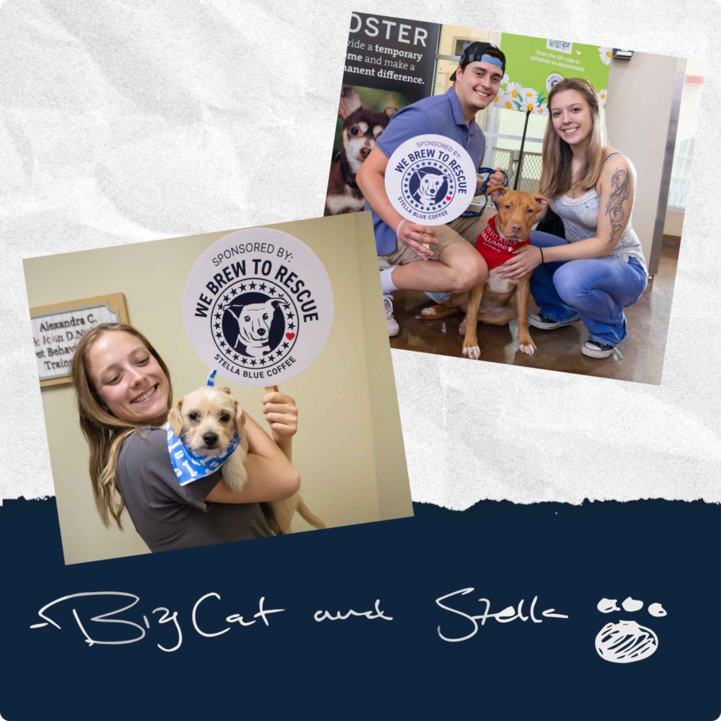 Collage of people with dogs and promotional materials for 'We Brew to Rescue' and Stella Blue Coffee.