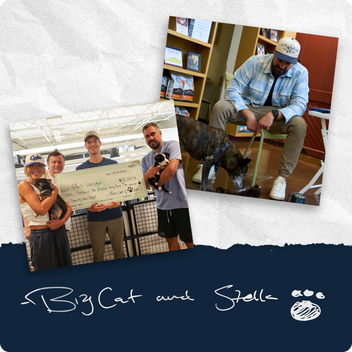 Two inset images showing people with dogs and a check, with 'Big Cat and Stella' branding at the bottom.