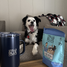Cinnamon Sugar Donut Cold Brew - Stella Blue Coffee & Merch Cinnamon Sugar Donut Cold Brew - Stella Blue Coffee & Merch