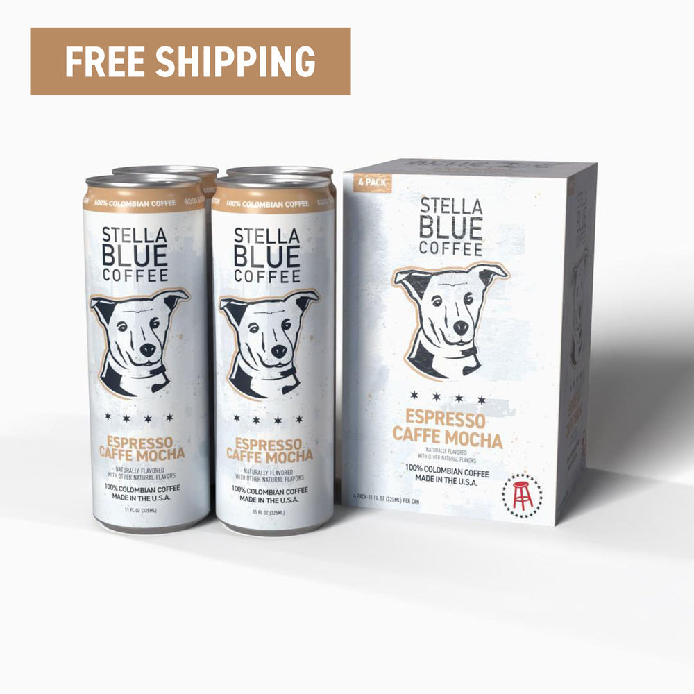 Caffe Mocha Canned Latte 4 Pack