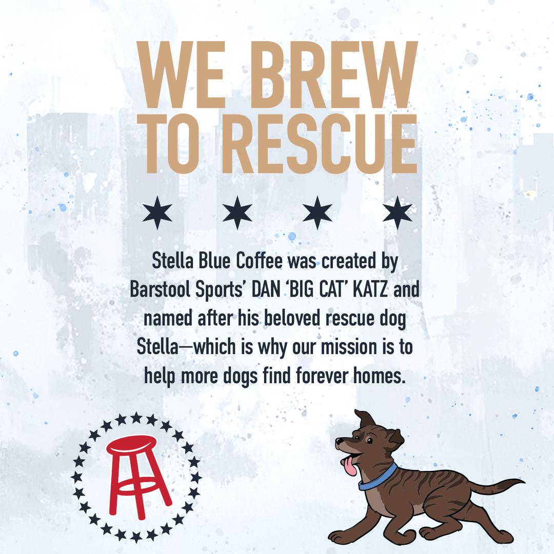 Caffe Mocha Canned Latte-Coffee-Stella Blue Coffee-Stella Blue Coffee