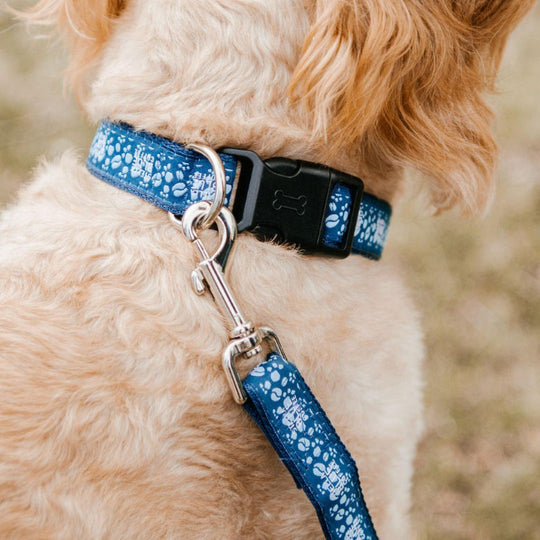 Stella Blue Dog Leash - Stella Blue Coffee & Merch