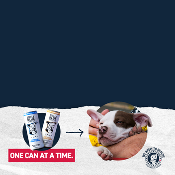 Two Canned Lattes, Sweet Cream and Cafe Mocha, with a photo of an adopted dog being held. Can sales go to support pet adoptions.